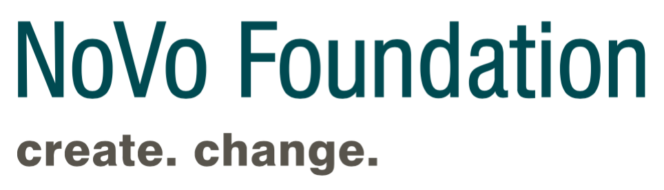 novo-foundation